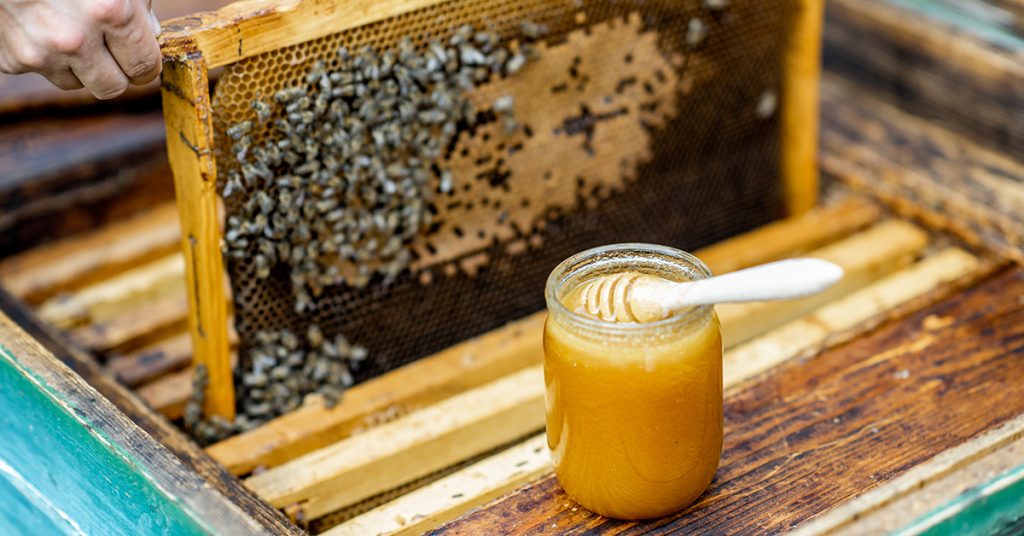Miele italiano: salvaguardare gli apicoltori