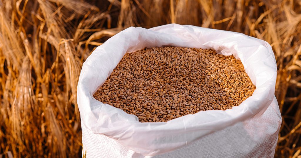 Aumento dei dazi sulle importazioni di grano duro dalla Russia